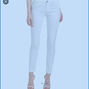 Hudson Skinny ankle Jeans